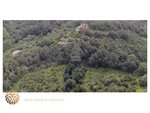 5 bedrooms Finca in Mahon, Spain No. 182 - Image 9