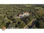 5 bedrooms Villa in Alaior, Spain No. 191 - villa in Spain