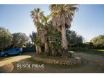 5 bedrooms Villa in Alaior, Spain No. 191 - Image 11
