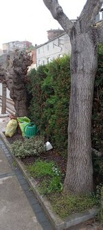 3 bedrooms House in Cardona, Spain No. 19367 - Image 5