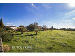 5 bedrooms Finca in Alaior, Spain No. 197 - Image 4