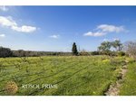 5 bedrooms Finca in Alaior, Spain No. 197 - Image 21