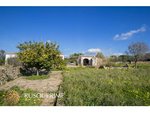 5 bedrooms Finca in Alaior, Spain No. 197 - Image 24