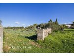 5 bedrooms Finca in Alaior, Spain No. 197 - Image 26