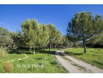 5 bedrooms Finca in Alaior, Spain No. 197 - Image 31