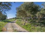 5 bedrooms Finca in Alaior, Spain No. 197 - Image 33