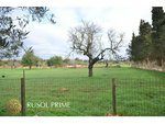 4 bedrooms Finca in Manacor, Spain No. 200 - Image 37