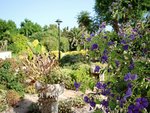 4 bedrooms Villa in Alaior, Spain No. 202 - Image 10