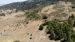 8 bedrooms Commercial property in Ronda, Spain No. 20515 - Image 14