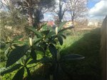 837m² Land in Caldes de Malavella, Spain No. 21932 - Image 4