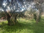 837m² Land in Caldes de Malavella, Spain No. 21932 - Image 8