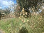 837m² Land in Caldes de Malavella, Spain No. 21932 - Image 10