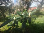 837m² Land in Caldes de Malavella, Spain No. 21932 - Image 12