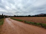 5800m² Land in Ciudad Real, Spain No. 22385 - Image 2