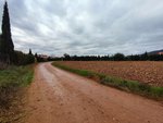 5800m² Land in Ciudad Real, Spain No. 22385 - Image 3