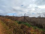 5800m² Land in Ciudad Real, Spain No. 22385 - Image 5