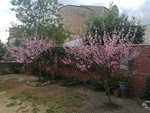 1 bedroom House in Vilajuiga, Spain No. 22579 - Image 8