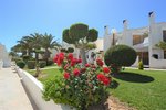 3 bedrooms Townhouse in Cabo Roig, Spain No. 2272 - Image 9