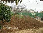 4 bedrooms House in El Vendrell, Spain No. 241 - Image 9