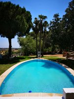 7 bedrooms House in Betera, Spain No. 2439 - Image 18