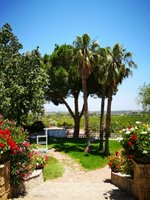7 bedrooms House in Betera, Spain No. 2439 - Image 27