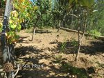4 bedrooms House in Coma-Ruga, Spain No. 244 - Image 21