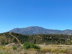 2255m² Land in Estepona, Spain No. 25305 - Image 5