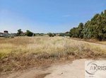 26987m² Land in Toledo, Spain No. 25578 - land in Spain