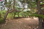 3 bedrooms Villa in Cabo Roig, Spain No. 2587 - Image 4