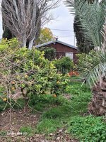 1 bedroom House in Llano de Brujas, Spain No. 27022 - Image 2