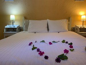 10 bedrooms Hotel in San Miguel de Abona, Spain No. 27690