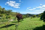 2 bedrooms Villa in Estepona, Spain No. 2867 - Image 21