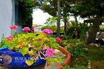 6 bedrooms House in Coma-Ruga, Spain No. 287 - Image 7