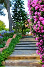6 bedrooms House in Coma-Ruga, Spain No. 287 - Image 10