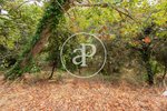 1245m² Land in Sant Cugat Del Valles, Spain No. 28960 - Image 13