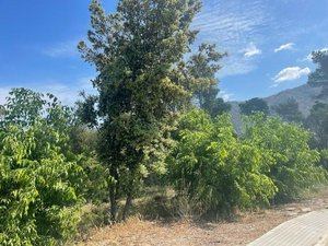 1138m² Land in La Torre de Claramunt, Spain No. 29119