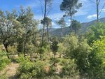 1138m² Land in La Torre de Claramunt, Spain No. 29119 - Image 4