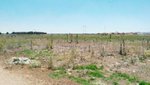 14468m² Land in Iscar, Spain No. 31385 - Image 2