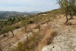 Land in Benissa, Spain No. 3166 - Image 6