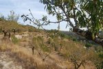 Land in Benissa, Spain No. 3166 - Image 7