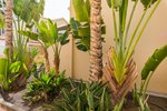 2 bedrooms Penthouse in Maspalomas, Spain No. 3205 - Image 6