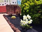 3 bedrooms Villa in Gran Canaria, Spain No. 3207 - Image 27