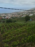 2 bedrooms House in Santa Ursula, Spain No. 33094 - Image 3