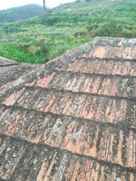 2 bedrooms House in Santa Ursula, Spain No. 33094 - Image 19