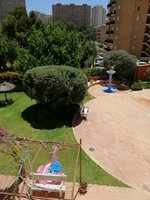 2 bedrooms Apartment in Benidorm, Spain No. 3435 - Image 4