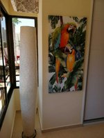2 bedrooms Apartment in Benidorm, Spain No. 3435 - Image 29