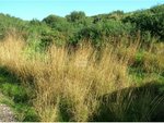 4 bedrooms Land in Mahon, Spain No. 3961 - Image 2