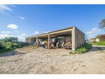8 bedrooms House in Ferreries, Spain No. 4035 - Image 10