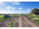8 bedrooms House in Ferreries, Spain No. 4035 - Image 11