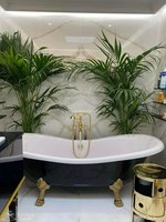 4 bedrooms Villa in Torviscas, Spain No. 4038 - Image 8